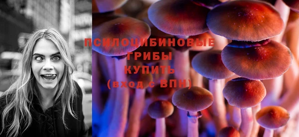 дмт Абаза