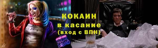 хмурый Мегион