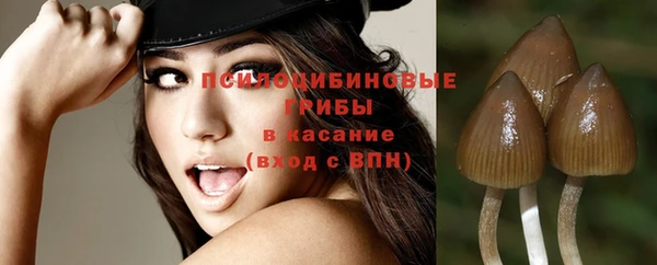 дмт Абаза