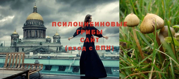 дмт Абаза