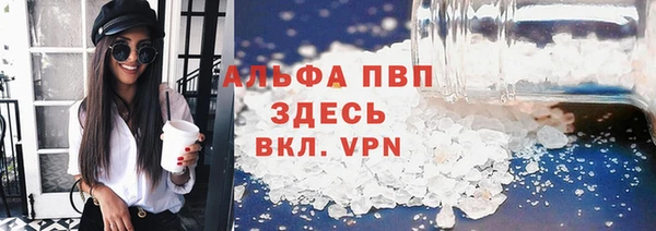дмт Абаза
