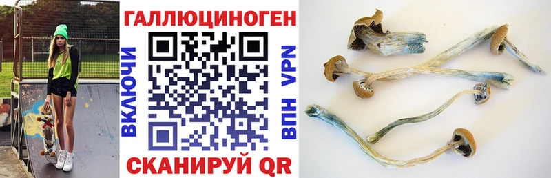 Псилоцибиновые грибы Magic Shrooms  как найти закладки  Назрань 