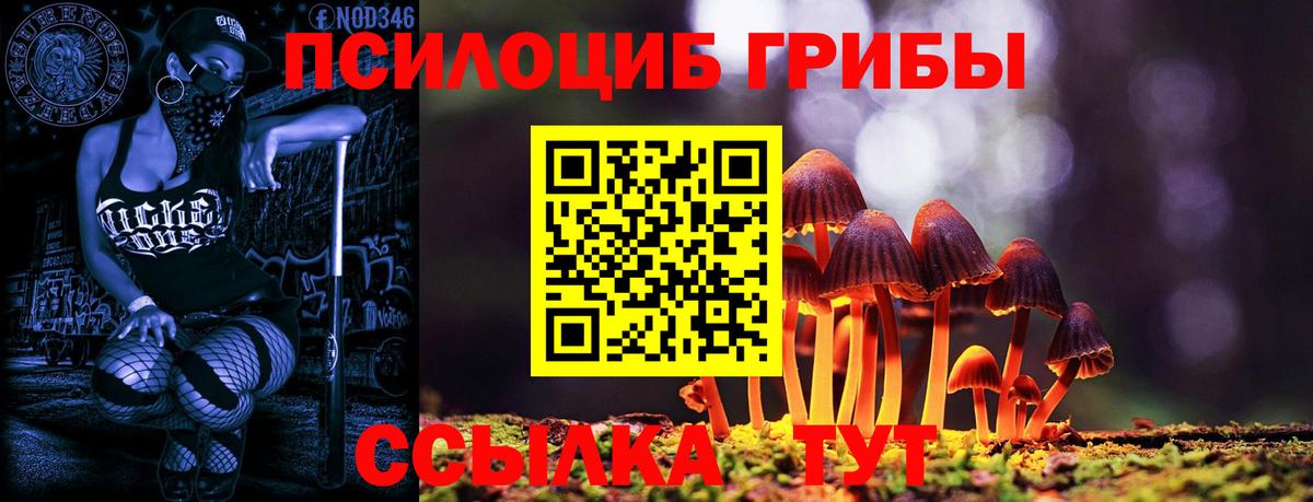 Назрань  Псилоцибиновые грибы MAGIC MUSHROOMS  Вход с VPN 